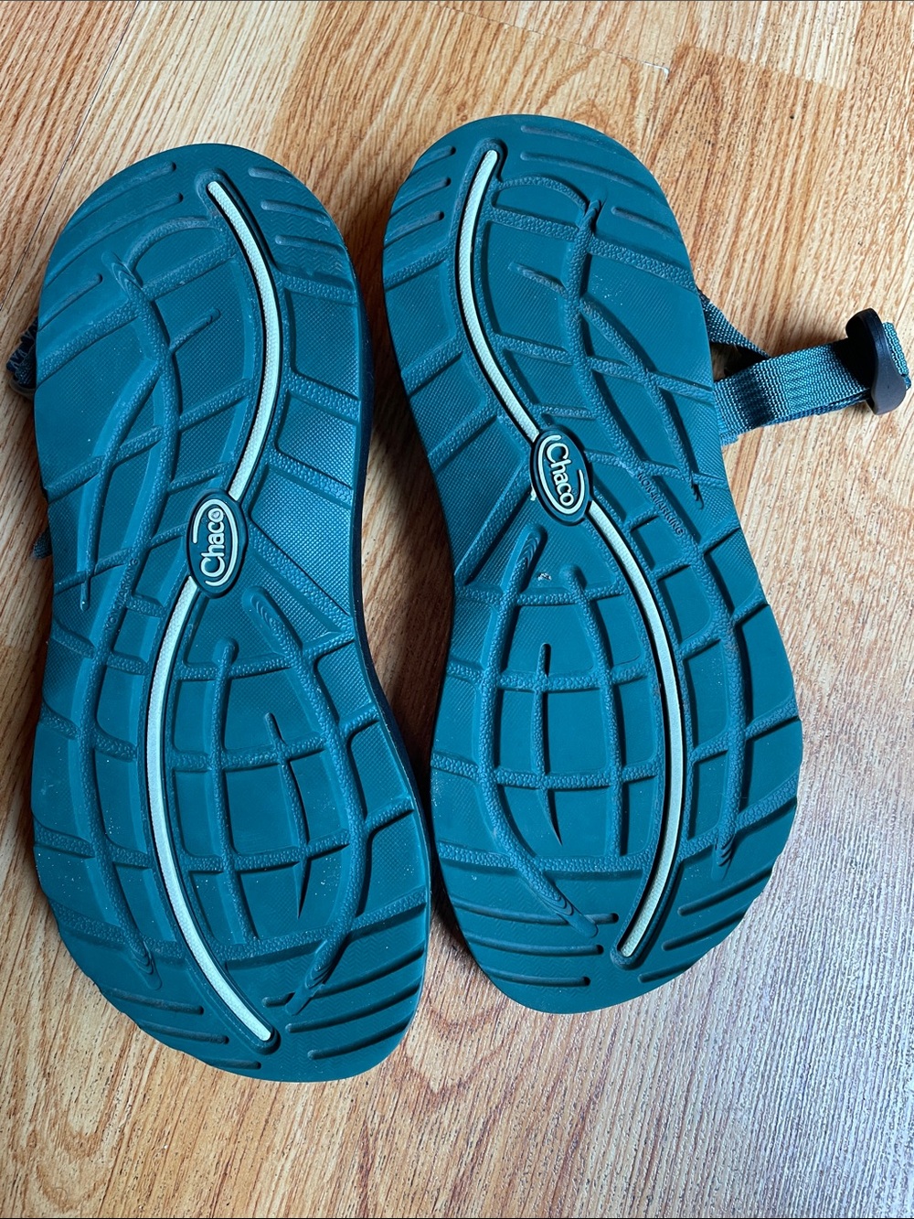 Chaco ZX2 - Picture 5 of 5